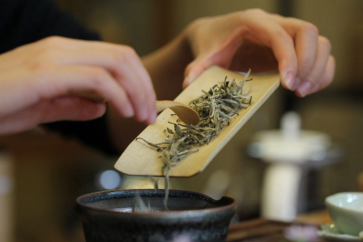 如何泡好一壶茶？投茶量也是关键